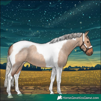 Horse Color:Silver Brown Roan Dun Tobiano