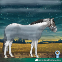 Horse Color:Grullo Roan Tobiano 