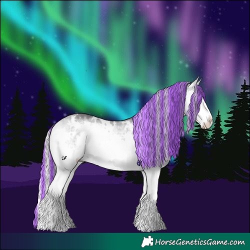 Horse Color:Painted White Spotted Silver Buckskin Chinchilla Dun Splash