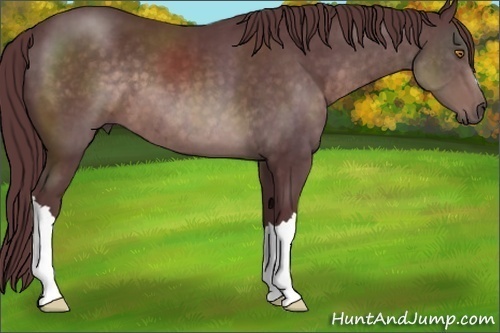 Horse Color:Platinum Chocolate Brown 