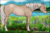 Horse Color:Silver Blue Roan Pearl Appaloosa Rabicano