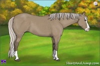 Horse Color:Silver Grullo Splash