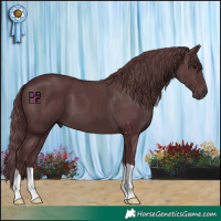 Horse Color:Chocolate Black 