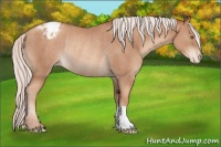Horse Color:Silver Classic Champagne Appaloosa Rabicano 