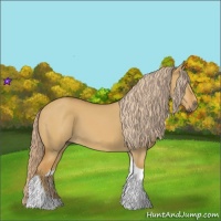 Horse Color:Palomino Dun Tobiano 