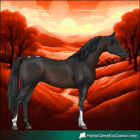 Horse Color:Brown Sabino Tobiano