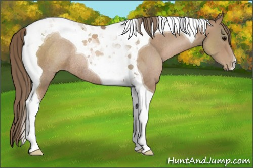 Horse Color:Black Pearl Tobiano Rabicano 