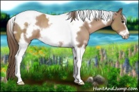 Horse Color:White Spotted Black Pearl Tobiano Frame Rabicano