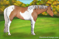 Horse Color:Silver Bay Tobiano Rabicano