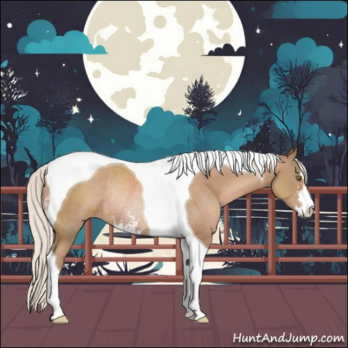 Horse Color:Silver Black Pearl Sabino Tobiano Rabicano