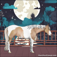 Horse Color:Silver Black Pearl Sabino Tobiano Rabicano