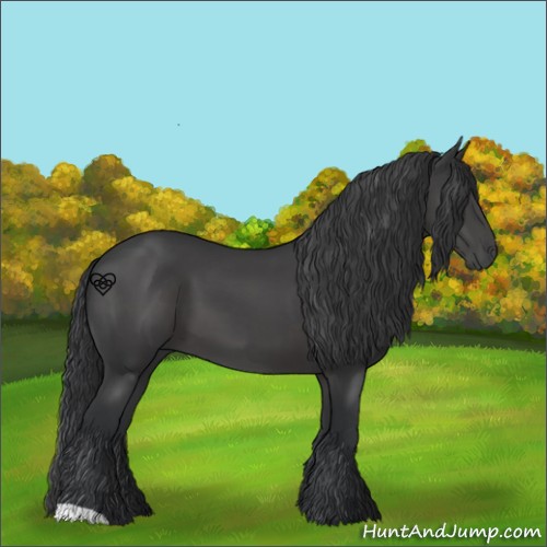 Horse Color:Black 