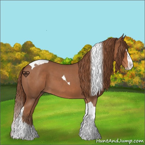 Horse Color:Red Roan Splash Tobiano 