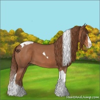 Horse Color:Red Roan Splash Tobiano 