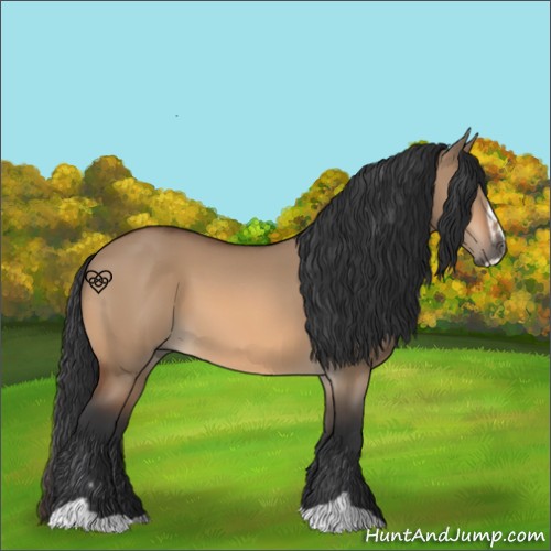 Horse Color:Bay Dun Sabino 