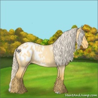 Horse Color:Palomino Roan Dun Blanket 