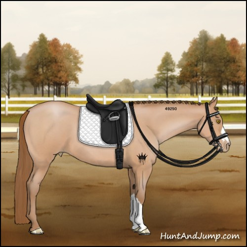 Horse Color:Bay Roan Pearl 