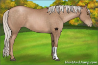 Horse Color:Silver Brown Pearl 