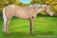 Horse Color:Silver Black Pearl 