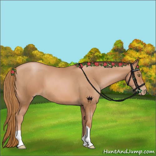 Horse Color:Chestnut Pearl 