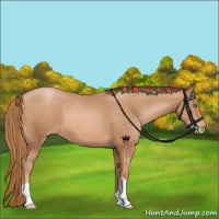 Horse Color:Chestnut Pearl 