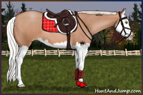 Horse Color:Silver Brown Pearl Sabino Splash 