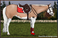 Horse Color:Silver Brown Pearl Sabino Splash 