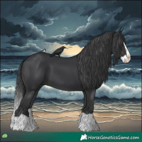 Horse Color:Black Splash 