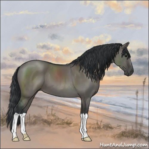 Horse Color:Grullo 