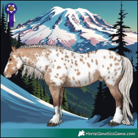 Horse Color:Silver Brown Dun Appaloosa