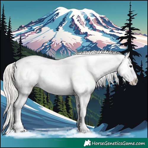 Horse Color:Silver Brown Dun Appaloosa 