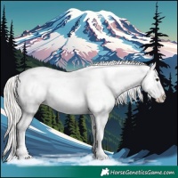 Horse Color:Silver Brown Dun Appaloosa 