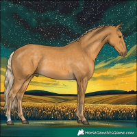 Horse Color:Palomino Rabicano 
