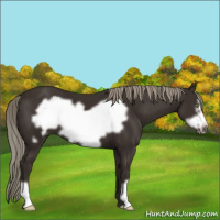 Horse Color:Liver Chestnut Mushroom Frame 