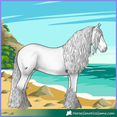 Horse Color:Gray Platinum Bay Splash Tobiano 