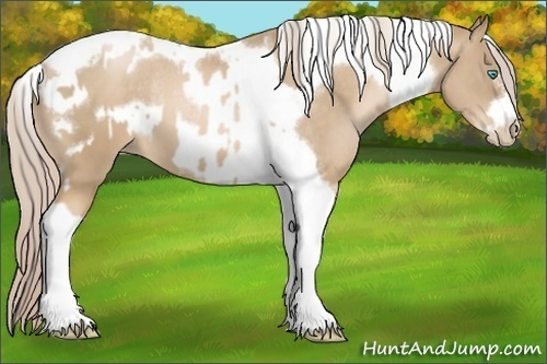 Horse Color:Chocolate Palomino Pearl Tobiano Frame  and Chocolate Palomino Pearl Tobiano Frame Rabicano 