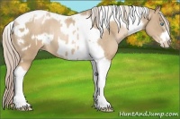 Horse Color:Chocolate Palomino Pearl Tobiano Frame  and Chocolate Palomino Pearl Tobiano Frame Rabicano 