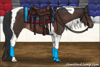 Horse Color:Brown Tobiano 