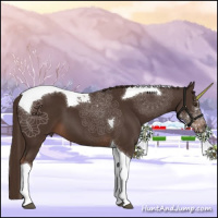 Horse Color:Liver Chestnut Tobiano