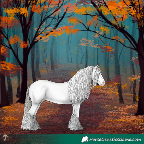 Horse Color:White Spotted Liver Red Dun Mushroom Blanket Rabicano