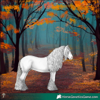 Horse Color:White Spotted Liver Red Dun Mushroom Blanket Rabicano 