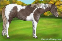 Horse Color:Liver Chestnut Tobiano