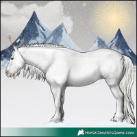 Horse Color:Silver Brown Dun Appaloosa 