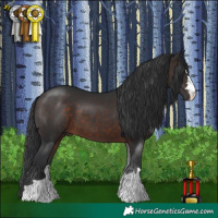 Horse Color:Brown 