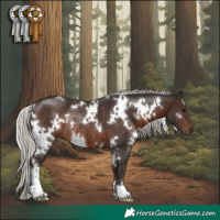 Horse Color:White Spotted Silver Brown Rabicano 