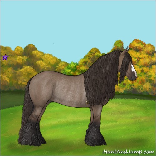 Horse Color:Liver Red Dun Rabicano 