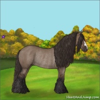 Horse Color:Liver Red Dun Rabicano 