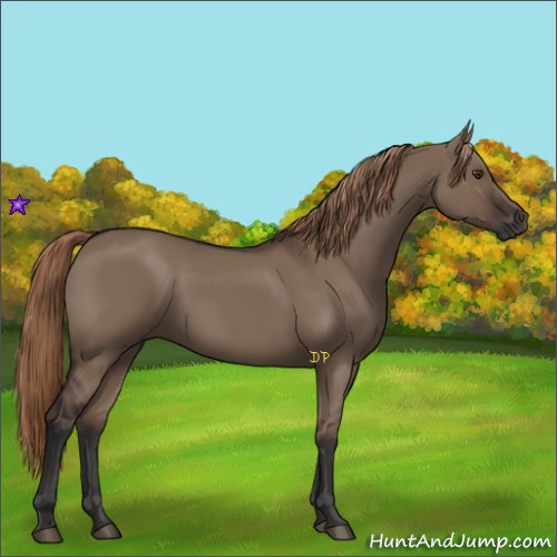 Horse Color:Liver Red Dun Rabicano 