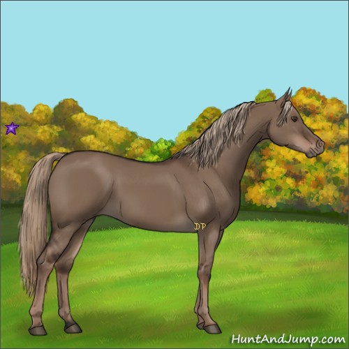 Horse Color:Liver Red Dun Rabicano