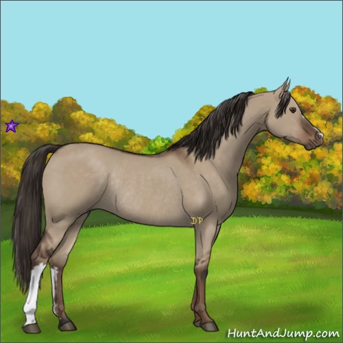Horse Color:Liver Red Dun Rabicano